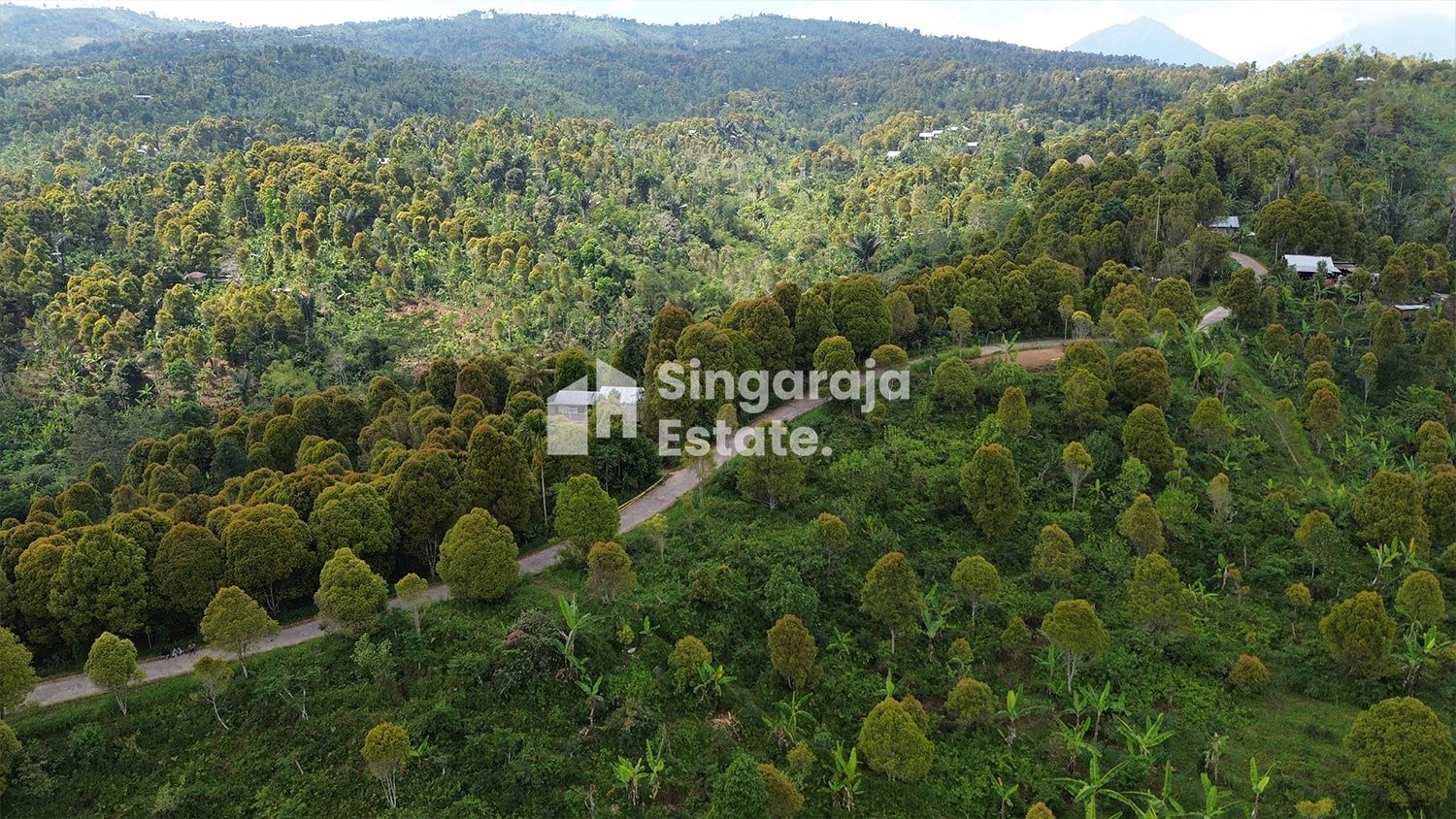 Tanah 5 Hektare View Laut di Dataran Tinggi Buleleng - Image 4